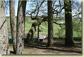 ����������. ������� �������