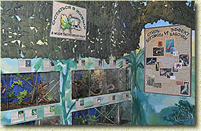 �� �������� ��������� � ������