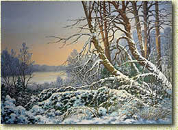 �������� �.�. ����������� ����