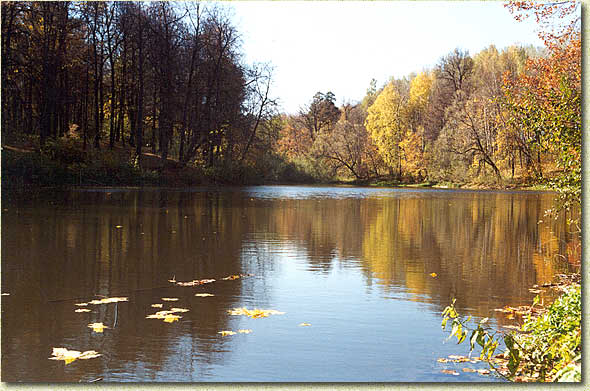 ��������-����������. ����  