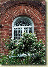 ���� ���������� ���������� ������. ���������� ������� 