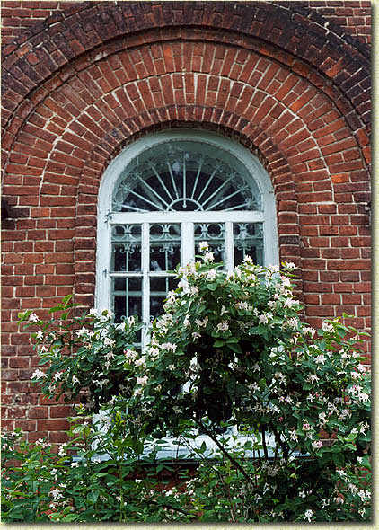 ���� ���������� ���������� ������. ���������� �������